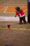DSC_1267
