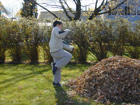 leapin
