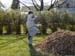 leapin